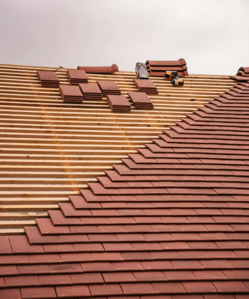 pexels-clement-proust-363898785-31763541_result